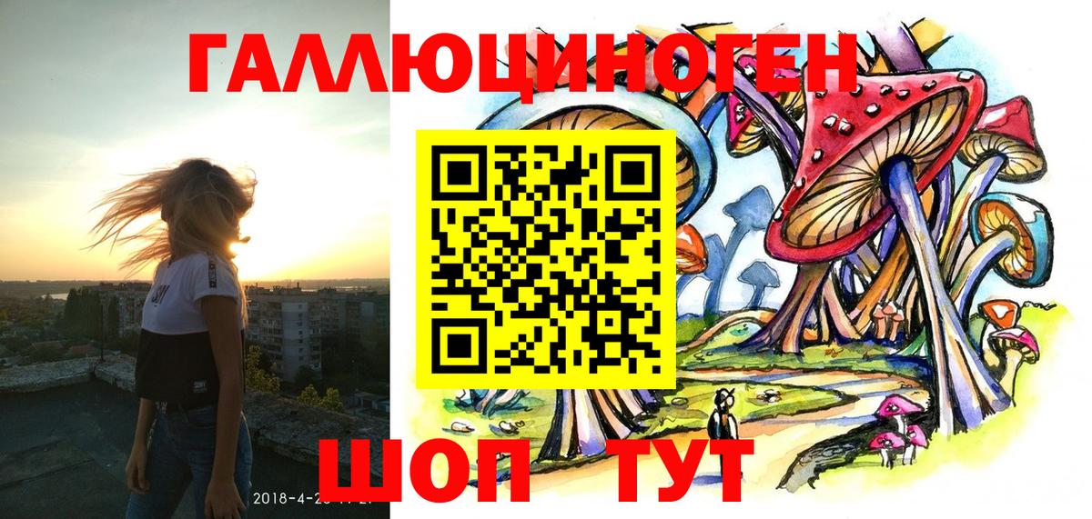 Галлюциногенные грибы прущие грибы  Вход с VPN  Большой Камень 